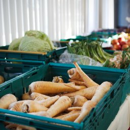 Fruit & Veg 01.jpg