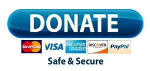 donatenowbutton300x143.jpg